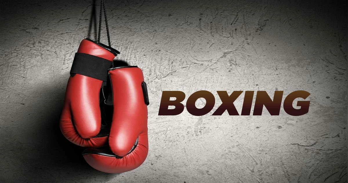 Cheap Boxing Store -Cheap Boxing Store 1