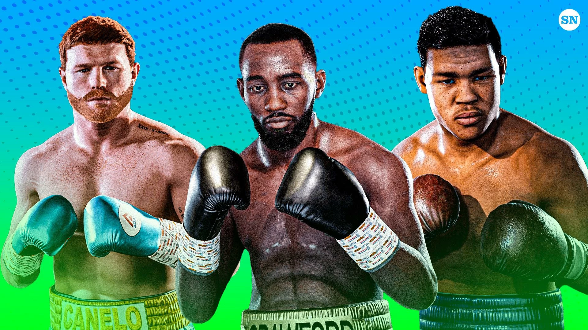 Cheap Boxing Store -Cheap Boxing Store 3